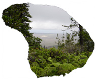 Lanaihale