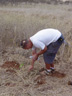 Planting