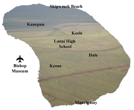 Lanai Map