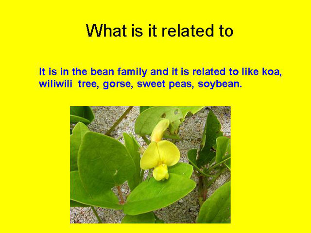 Slide5