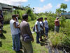 Ethnobotanical garden