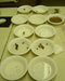 Seed experiment