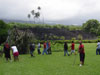 Ethnobotany