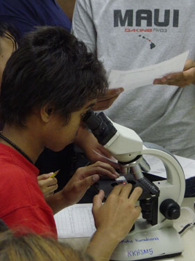 Looking down the microscope