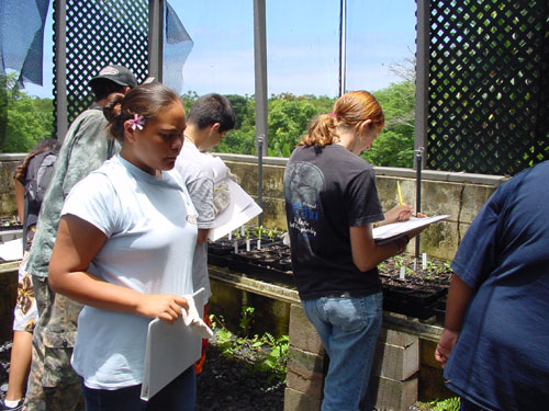 Observations in the shadehouse