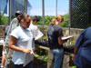 Shadehouse activity