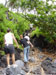 Hiking at Waianapanapa