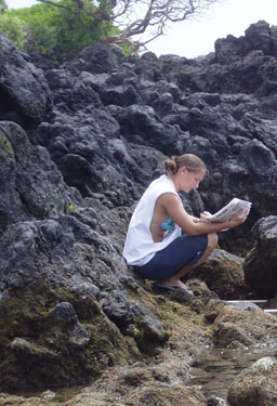 Identifying limu
