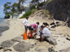 Identifying limu