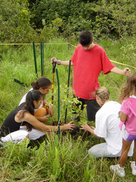 Planting