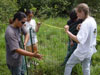 Fencing