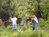 Pruning