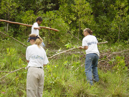 Removing debris