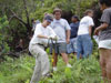 Soil collection