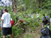 Clearing