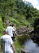 Along the stream