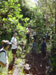 Hiking