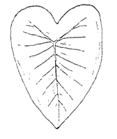 Entire (continuous)