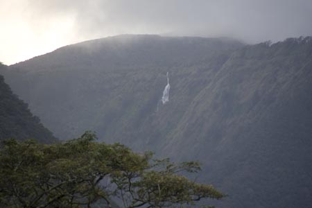 Waipio-4